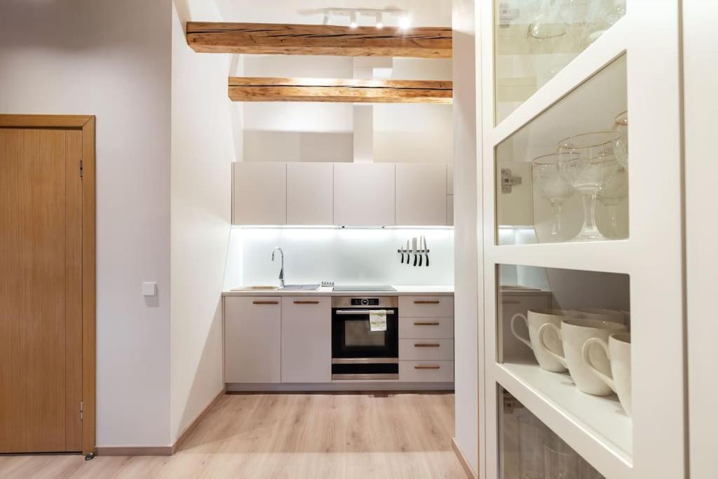 Luxury Apartment In Gedimino Av. VNO Kültér fotó